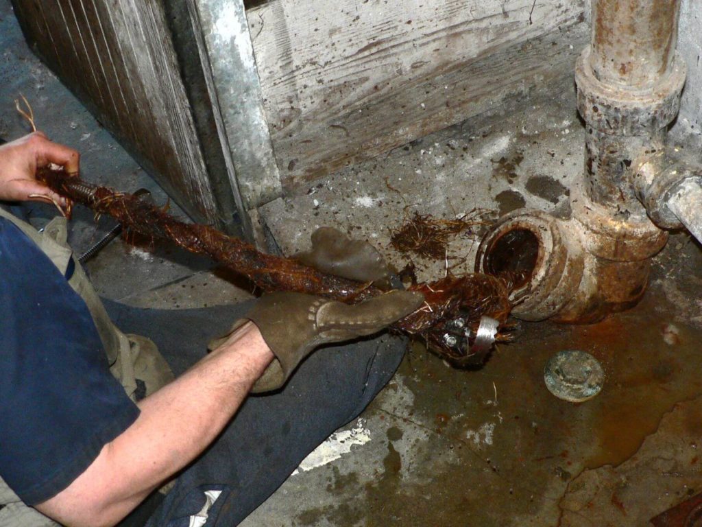 Contact Us-Carrollton TX Septic Tank Pumping, Installation, & Repairs-We offer Septic Service & Repairs, Septic Tank Installations, Septic Tank Cleaning, Commercial, Septic System, Drain Cleaning, Line Snaking, Portable Toilet, Grease Trap Pumping & Cleaning, Septic Tank Pumping, Sewage Pump, Sewer Line Repair, Septic Tank Replacement, Septic Maintenance, Sewer Line Replacement, Porta Potty Rentals, and more.